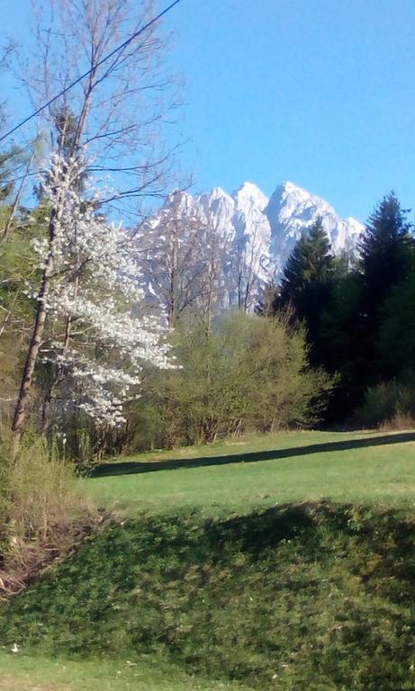 Apartments Grudnik Kranjska Gora Eksteriør bilde